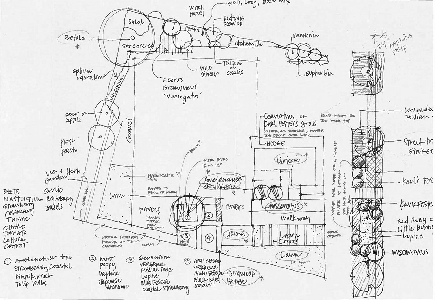 Shaney-Clemmons-CSH2016-landscape-schematic-design.jpg